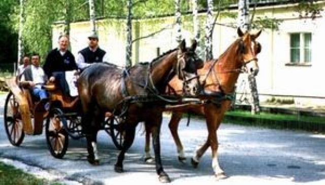 Photos for house 639920