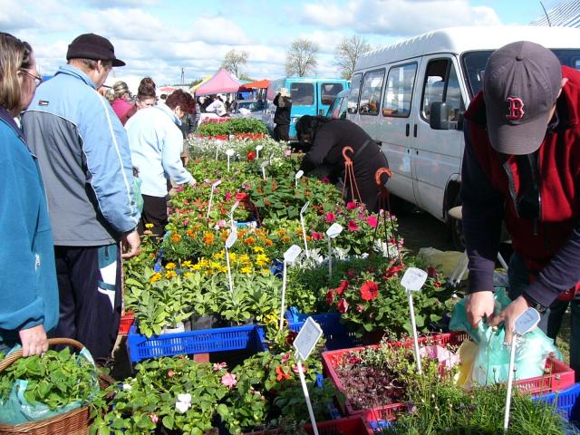 Photos for house 639920