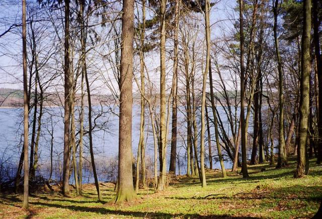 Photos for house 639923