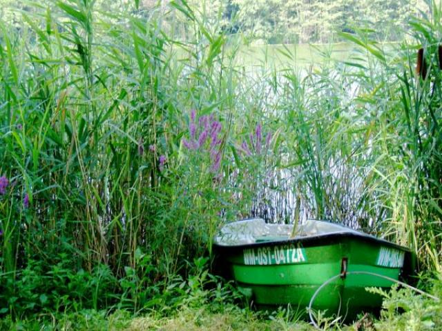 Photos for house 639924