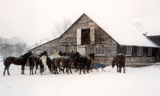 Photos for house 639926