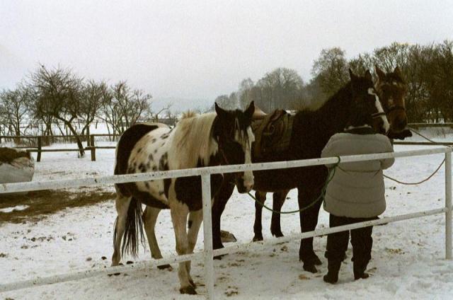 Photos for house 639926