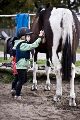 Photos for house 639926