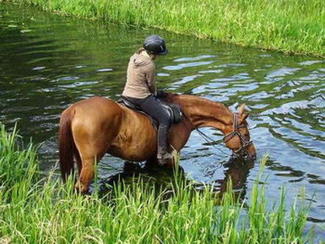 Photos for house 639926