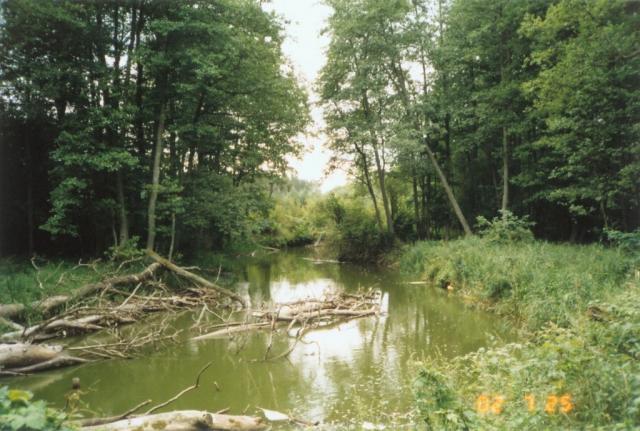 Photos for house 639926