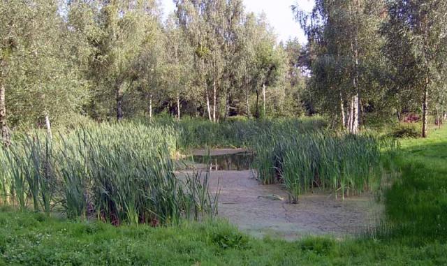 Photos for house 639927