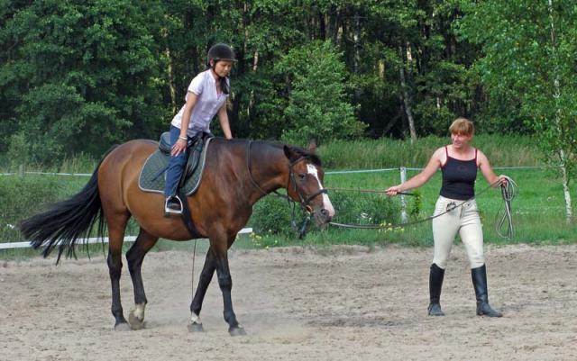 Photos for house 639927