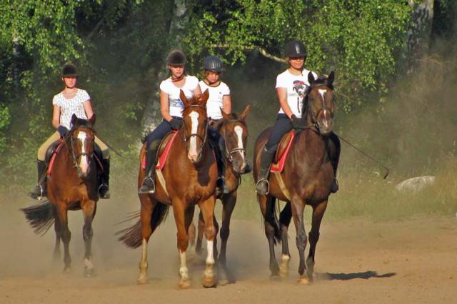 Photos for house 639927