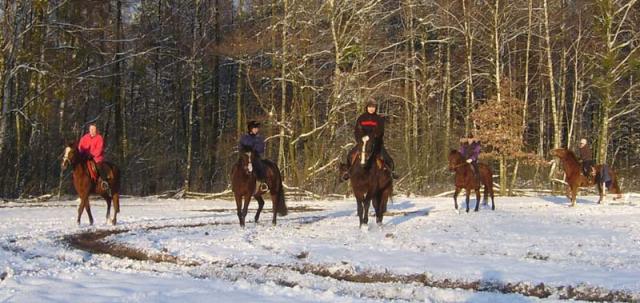 Photos for house 639927