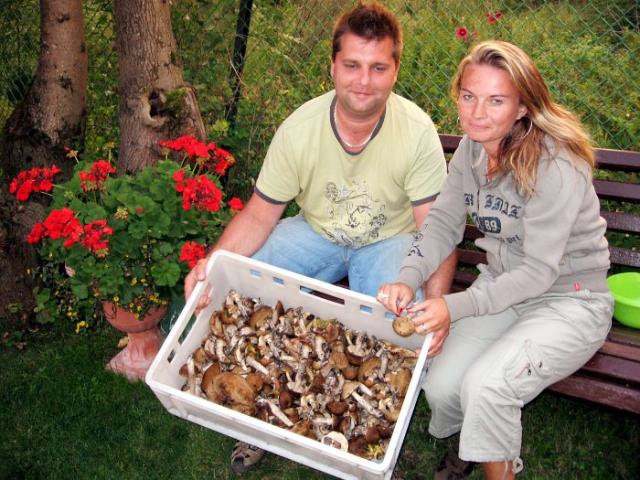 Photos for house 639930