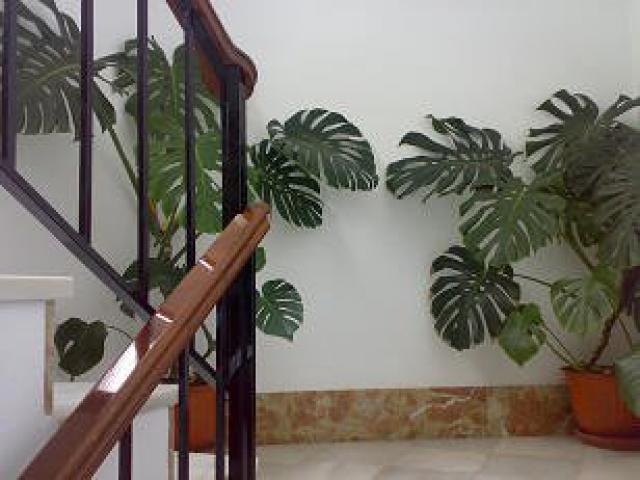 Photos for house 641090