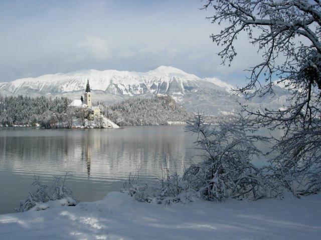 Photos for house 641111