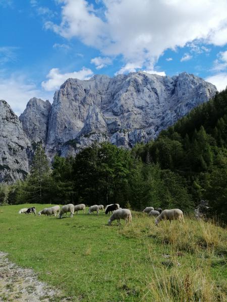 Photos for house 641111