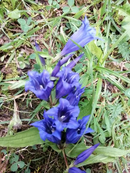 Photos for house 641111