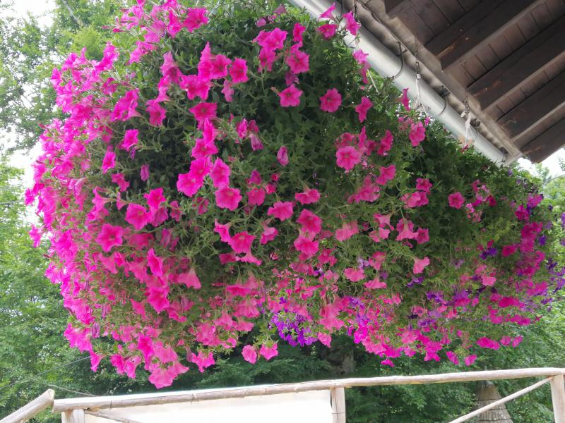 Photos for house 641111