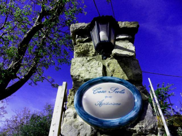 Photos for house 641117