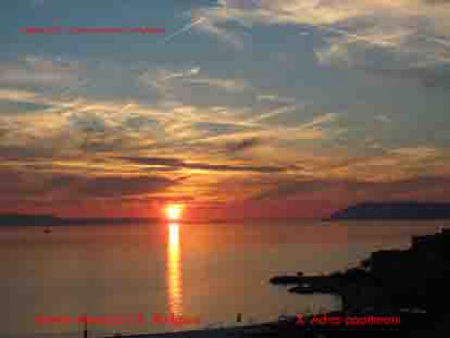 Photos for house 641142