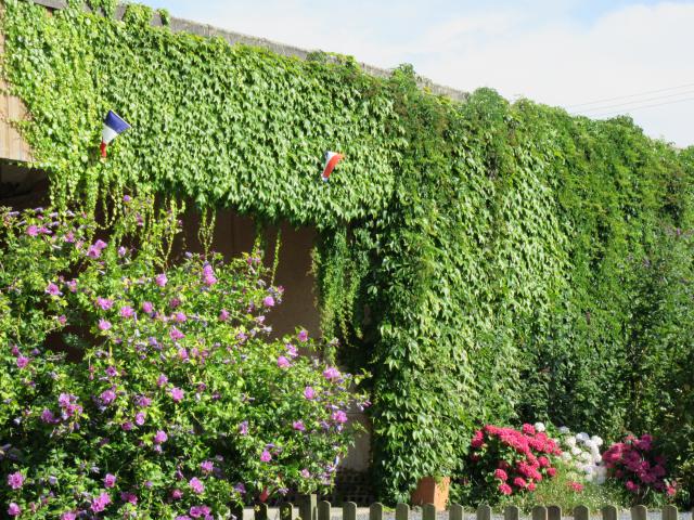 Photos for house 641143