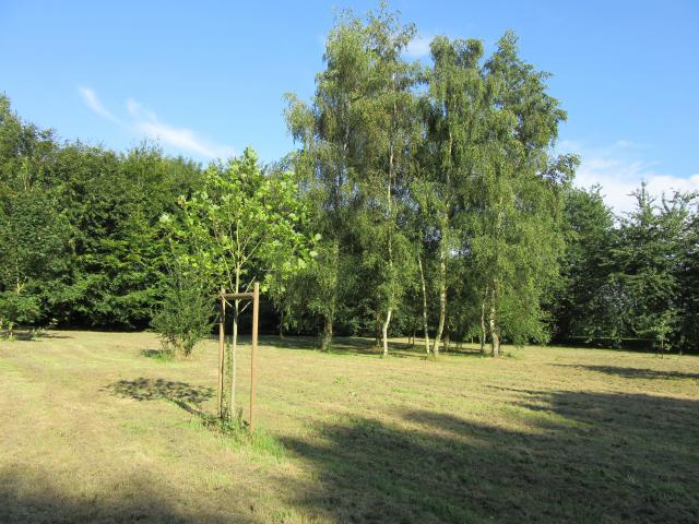 Photos for house 641143