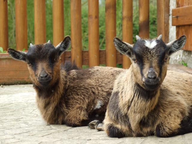 Photos for house 641143