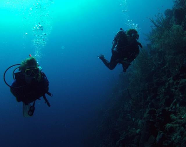 Photos for house 641177