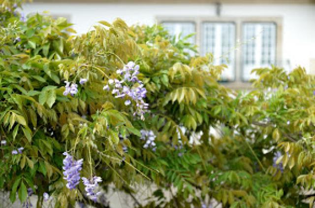 Photos for house 641276