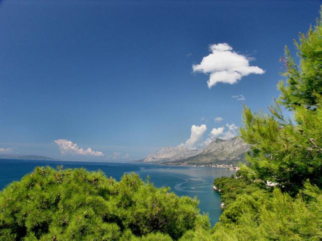 Photos for house 641316