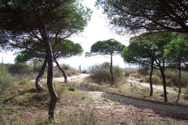 Photos for house 641319