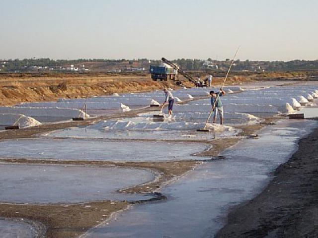 Photos for house 641319