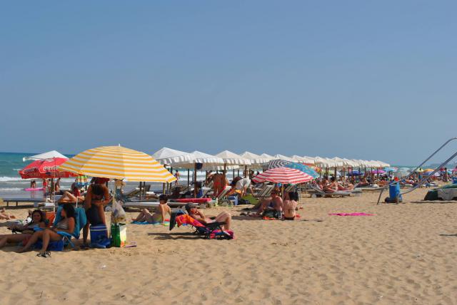 Photos for house 641341