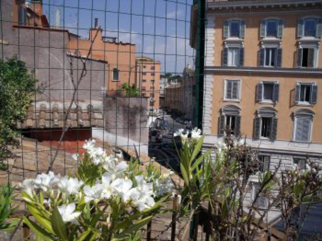 Photos for house 641347