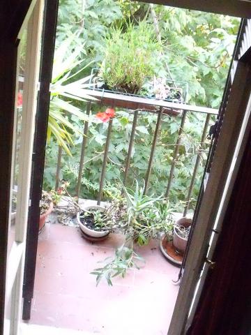 Photos for house 641347