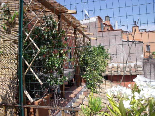 Photos for house 641347