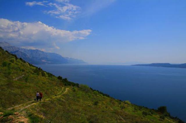 Photos for house 641394