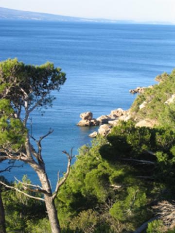 Photos for house 641394