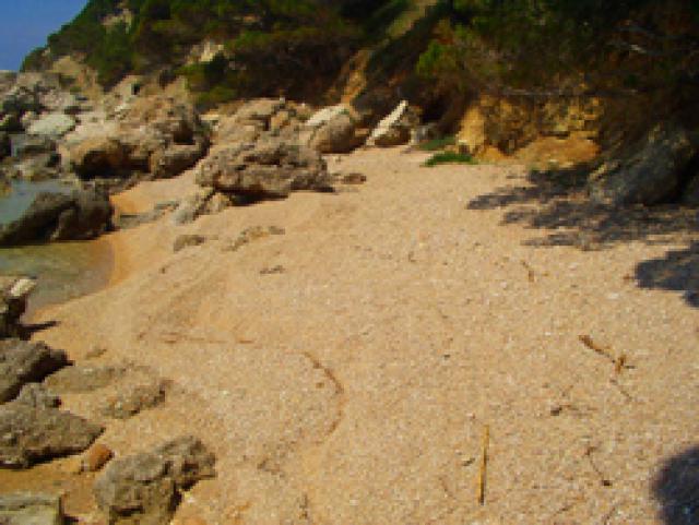 Photos for house 641394