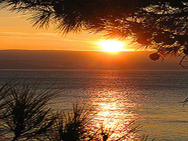 Photos for house 641394