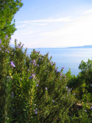 Photos for house 641394