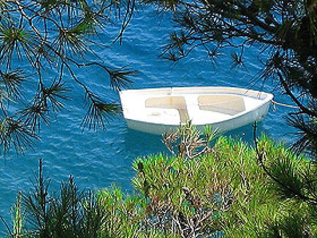 Photos for house 641394