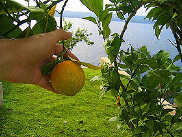 Photos for house 641394