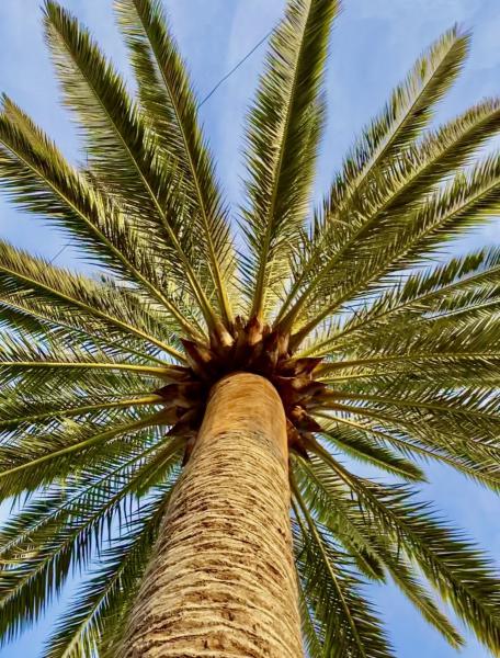 Photos for house 641423