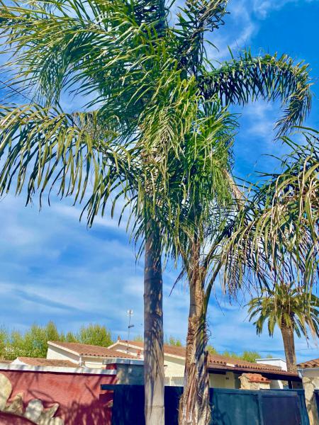 Photos for house 641424