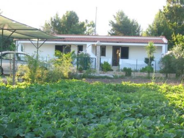 Photos for house 641430