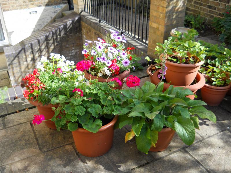 Photos for house 641446