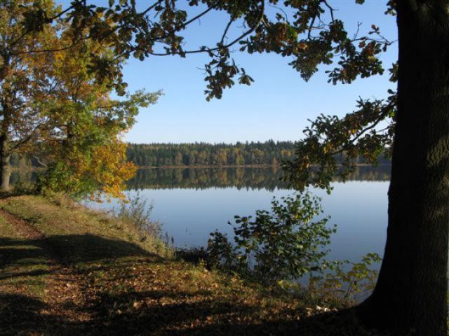 Photos for house 641449