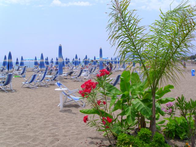 Photos for house 641453