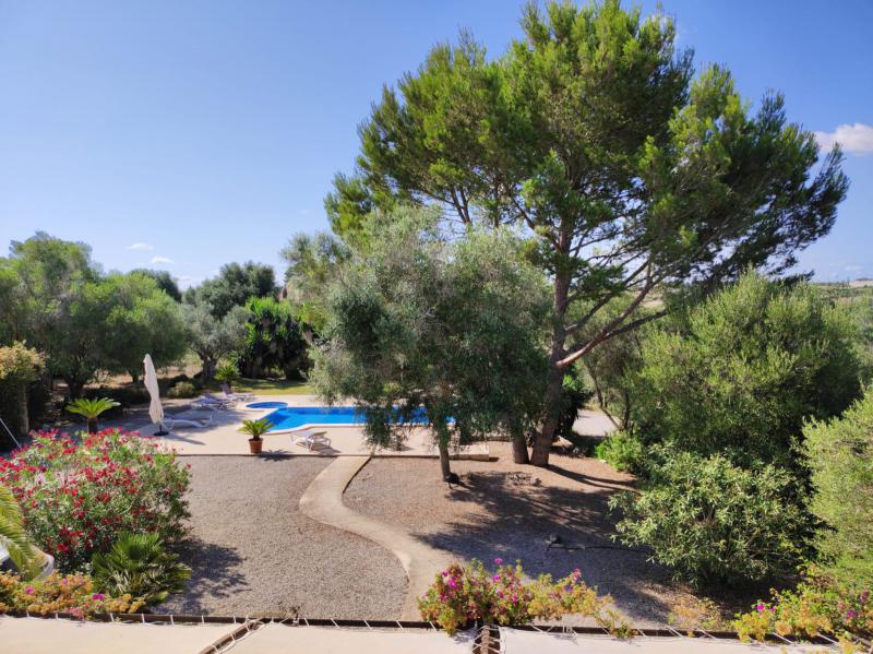 Photos for house 641471