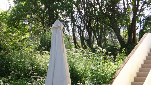 Photos for house 641479