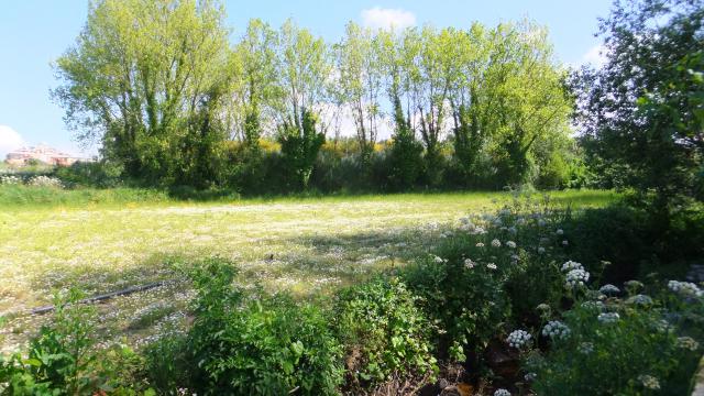 Photos for house 641479