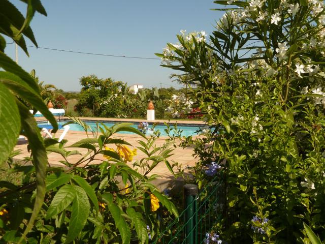 Photos for house 641495